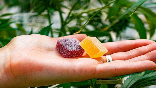 8 Facts That Nobody Told You About Delta 8 THC Gummies
