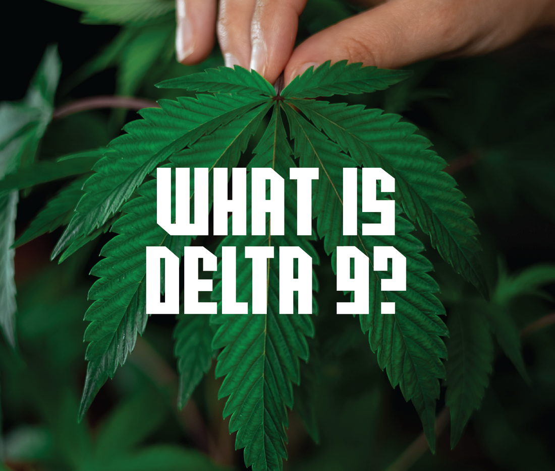 What is Delta 9?